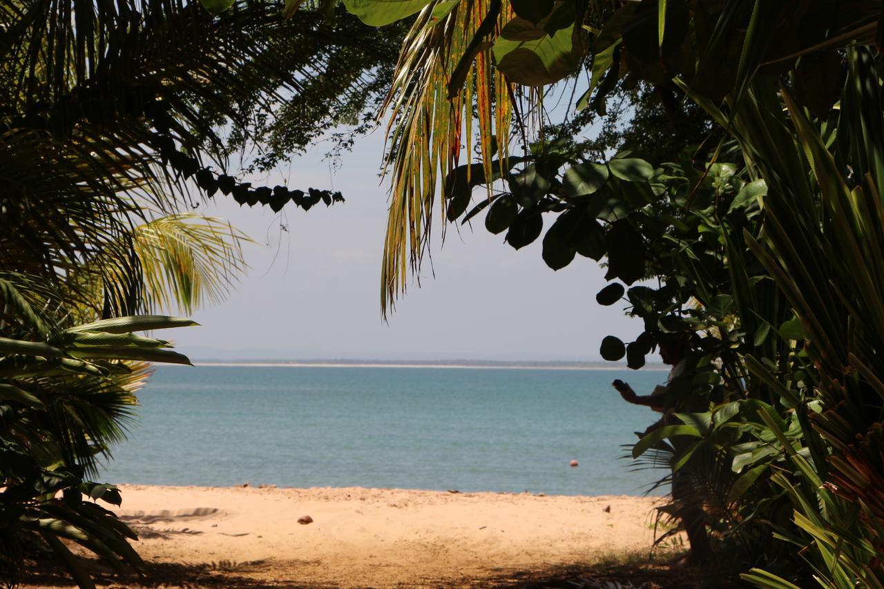 Coroaci Beach House บาร์ฮากรังจิ ภายนอก รูปภาพ